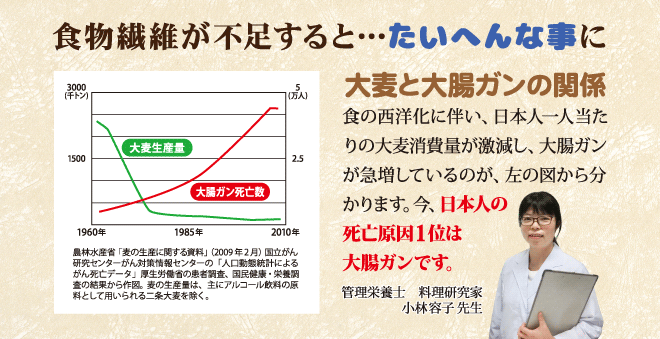 食物繊維が不足すると、大変なことに